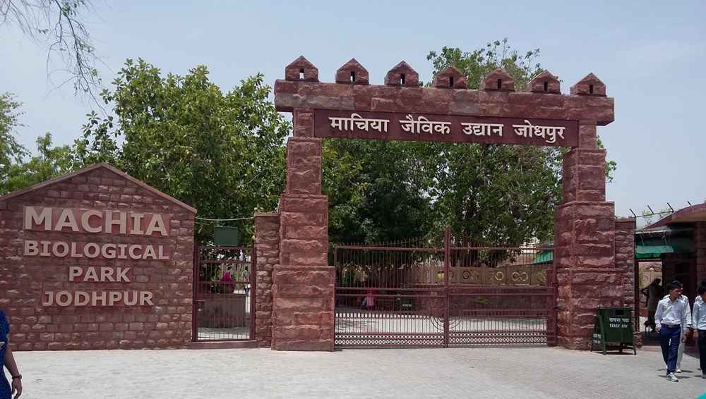 Machia Park Jodhpur