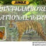 Ranthambore National Park